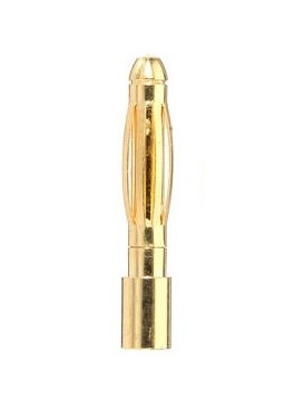 AMASS_2MM_MALE_1